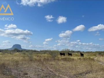 RANCHO EN VENTA VILLA GONZALEZ