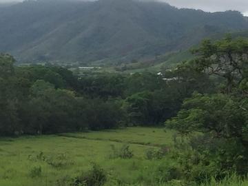 Rancho en Cuauhtémoc, Villaflores, Chiapas
