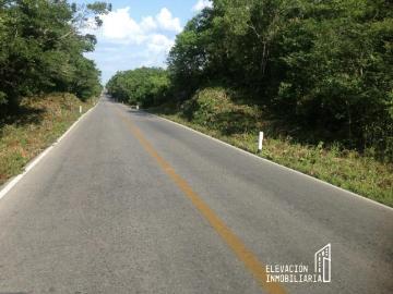 Rancho en Venta ? Yucat?n | 101 Hect?reas