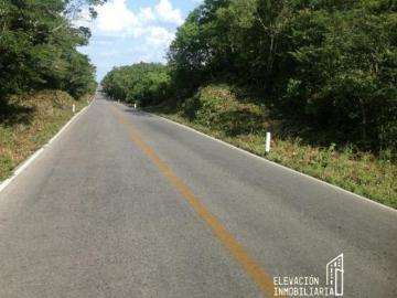 Rancho en Venta – Yucatán | 101 Hectáreas