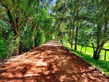 Rancho ecuestre en venta al norte de San Miguel de Allende Estilo Hacienda