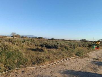 Rancho El Carrizal
