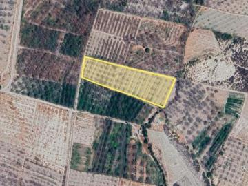 ¡Rancho El Papalote! en venta, Parras Coahuila