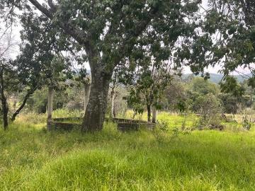 rancho el tigre carretera morelia quiroga, Tzintzuntzan