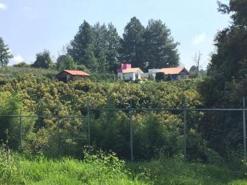 Rancho, Huerta y Casa de descanso en venta en Ocuilan Edo. de M?xico