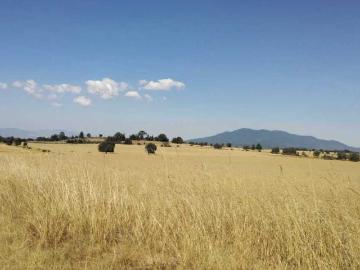 Rancho Los Encinos en Venta con Tierras Productivas