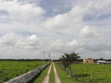Gran Rancho La Curva en venta en Buctzotz