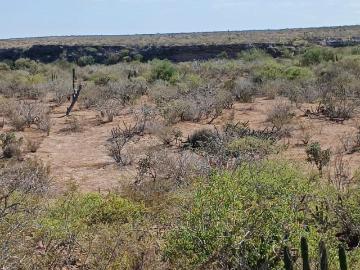 RANCHO LA JUNTA, La Poza Grande
