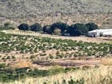 Rancho Limonero en Venta