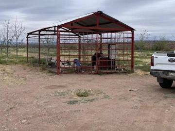 RANCHO NOGALERO EN PRODUCCION CERCA DE CHIHUAHUA