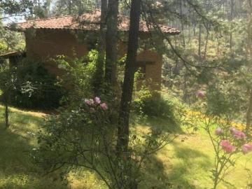 Rancho San Miguel – Hermosa Propiedad Campestre en Venta