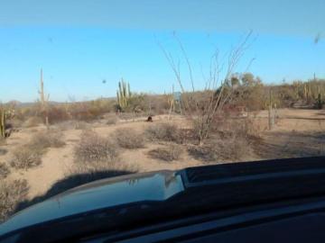 RANCHO SINEGETICO AL NORTE DE SONORA