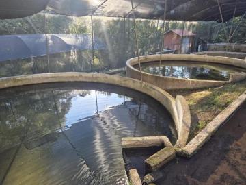 Rancho productor de Truchas