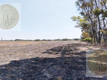 Rancho productivo