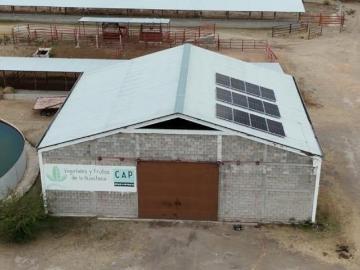 RANCHO PRODUCTIVO EN VENTA EN SAN LUIS POTOSI VILLA DE REYES