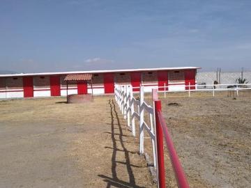 RANCHO TERRENO EN VENTA HIDALGO TOLCAYUCA CERCA DE AIFA, INVERSIONISTAS