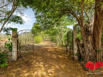 RANCHO XPUHUY: LA TRANQUILIDAD DE VIVIR EN UNA GRANJA A LAS AFUERAS DE MÉRIDA