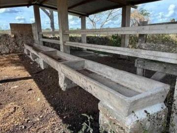 RANCHO ZONA GANADERA, CERCA DE MERIDA YUCATÁN EN BUCTZOTZ