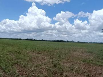 Ranchos en venta en Tizimín, Yucatán | Desde 160 hasta 4,800 hectáreas