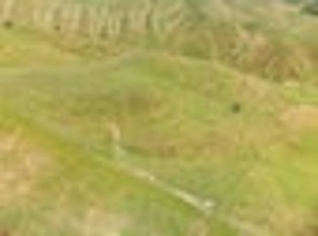 Ranginui Land For All