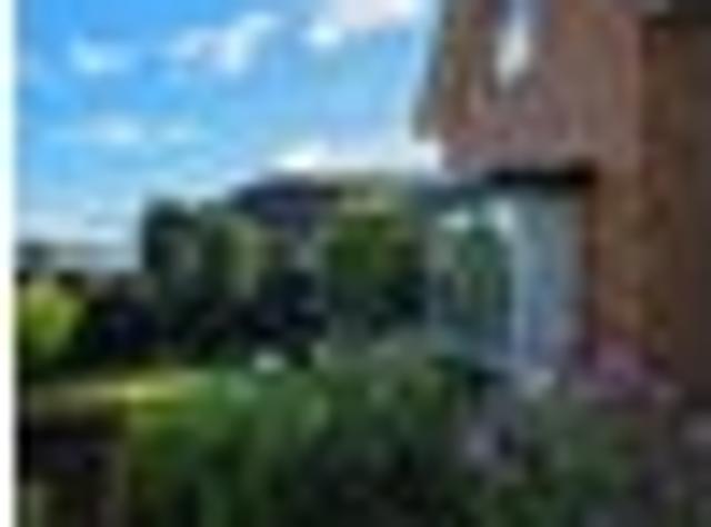 Rangiora, 3 bedrooms, $650 pw