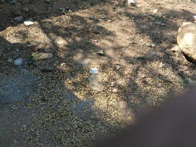 Raos Residency Alwal 325 Sq. Yd. Plot in Alwal Hyderabad Listing ID: #10144