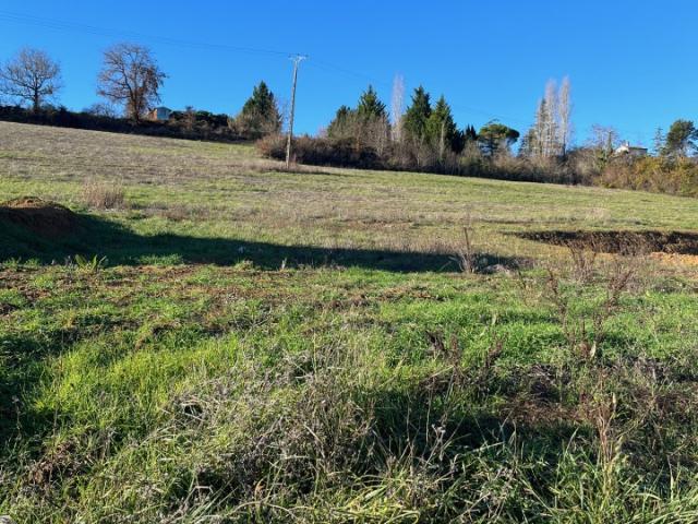 Rabastens Vente Terrain 81