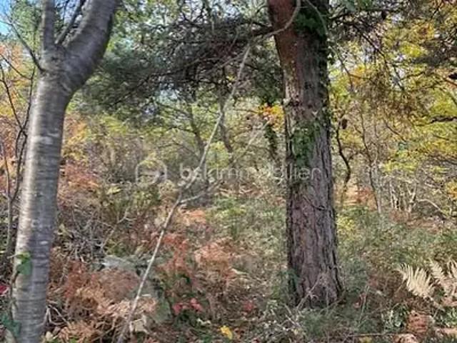 Rabouillet 66730 Achat / Vente terrain