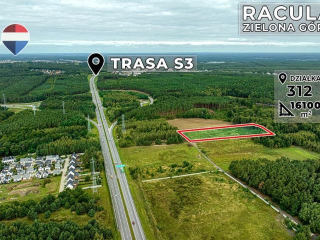 Racula Grabowa 16 100 m², Zielona Góra