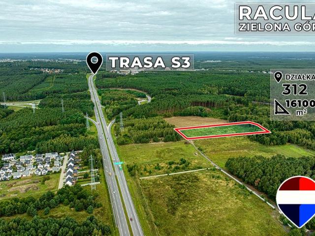 Racula Grabowa 16 100 m², Zielona Góra