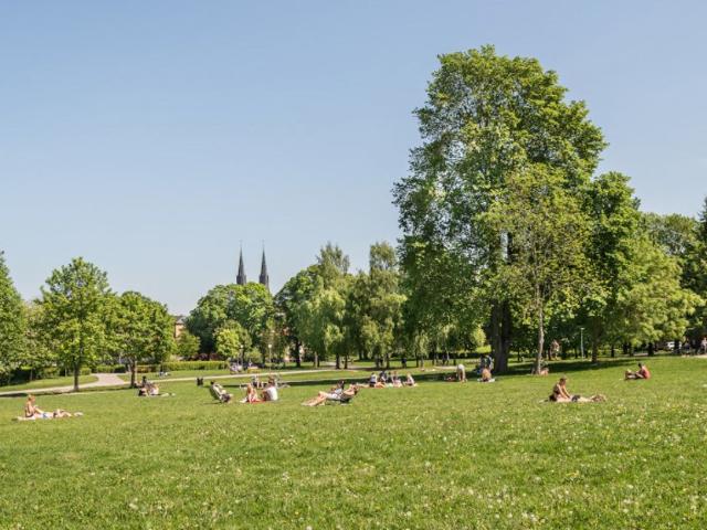 Rackarbergsgatan 9, 75235, Uppsala