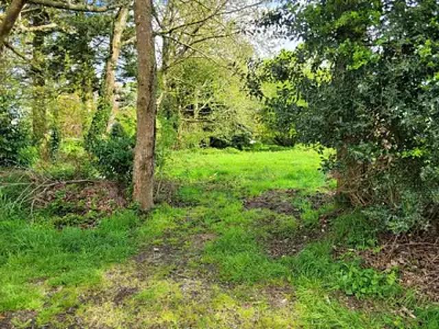 Radenac 56500 Achat / Vente terrain
