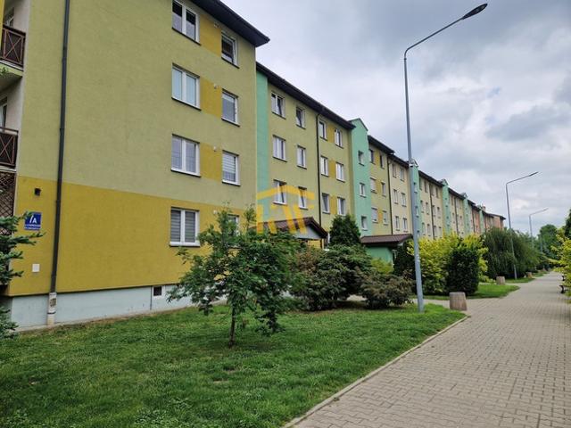 Radom, Adama Rapackiego