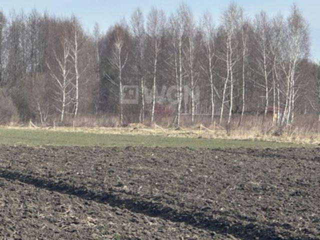Radom Grodzki, Radom, Janiszpol, Leszczynowa