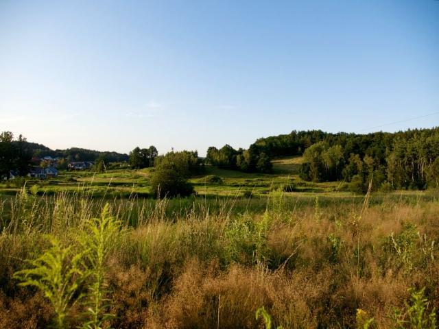 Radosna 1 634 m², Staniszów