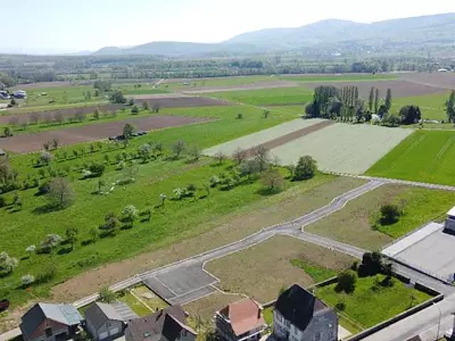 Raedersdorf 68480 Programme neuf terrain neuf à vendre