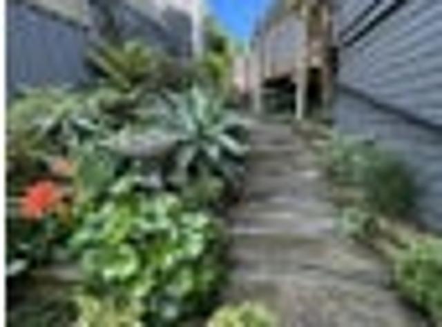 Raglan, 3 bedrooms, $545 pw