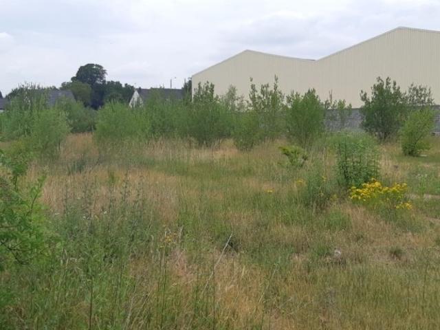 Raillencourt Sainte Olle Vente Terrain 59
