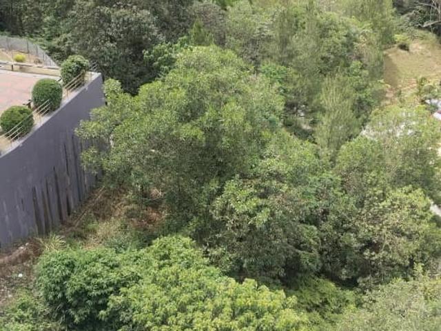 Rainforest Sanctuary, Genting Sempah