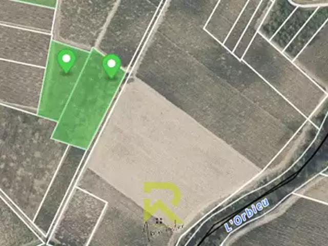 Raissac d'Aude 11200 Achat / Vente terrain