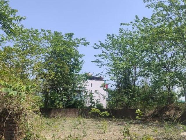 Rajpur Road, Dehradun North 500 Sq. Yd. Plot in Rajpur Road Dehradun Listing ID: #10347