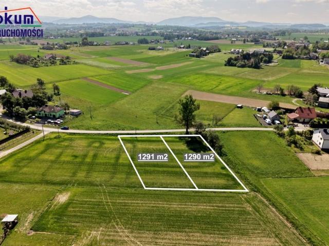 Rajska 1 290 m², Dębowiec