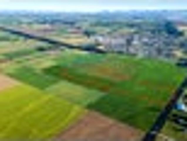 Rakaia 8ha bareland investment