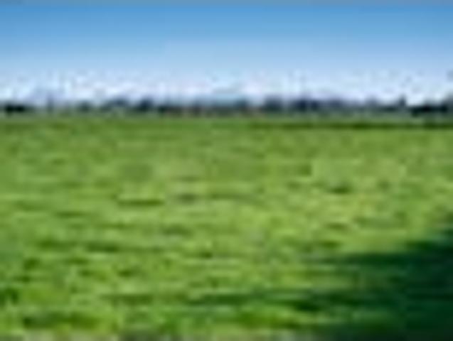 Rakaia 8ha lifestyle bareland