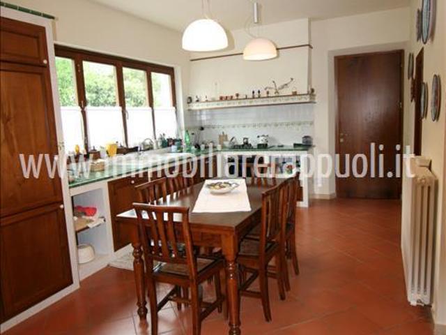 Rapolano vendesi in posizione collinare casa singola suddivi. 366m² Rapolano Terme