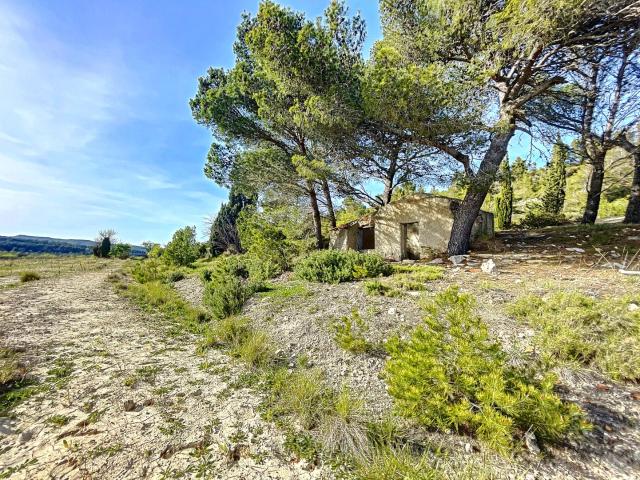 RARE MAGNIFIQUE TERRAIN AVEC CABANON ET PUITS A SIGEAN