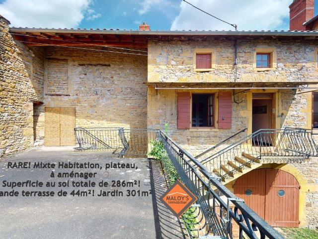 RARE! Mixte habitation pierres dorées, plateaux à aménager surfa