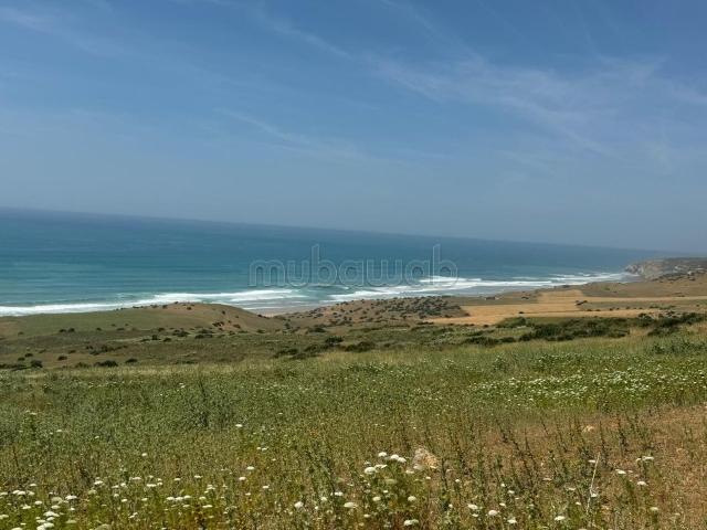 Rare opportunité d'investissement près de la mer