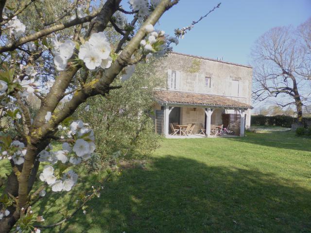 RARE AU COEUR DES VIGNES