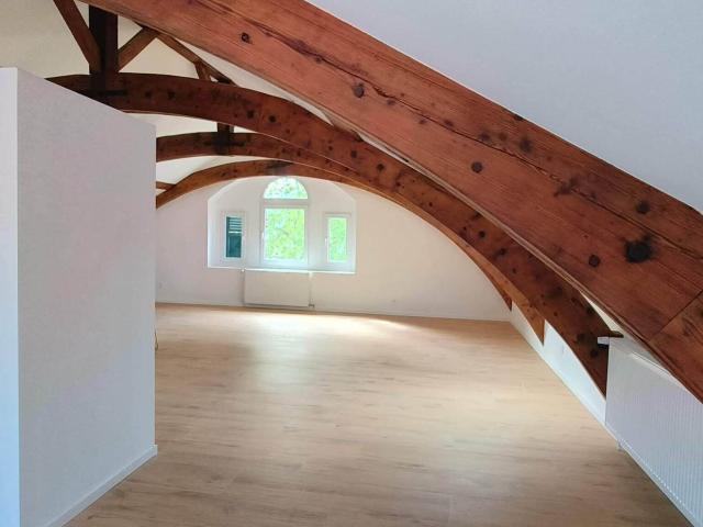 Rare a cully, sur les quais appartement d'une piece style loft | dreamo. Ch